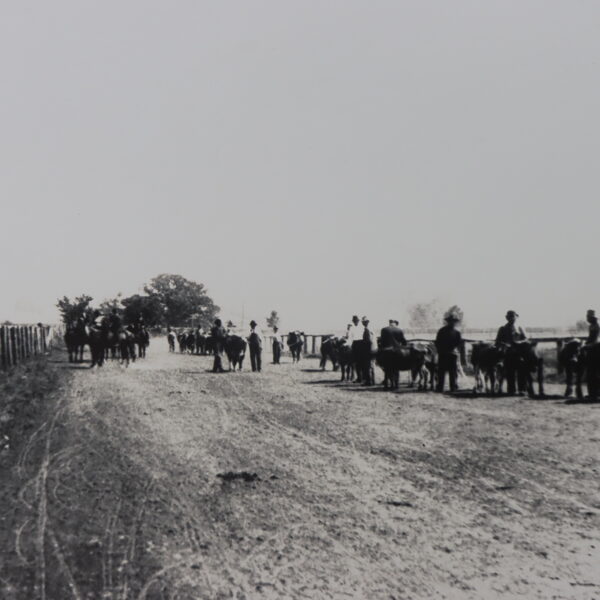 Old Fairgrounds 1910-1914