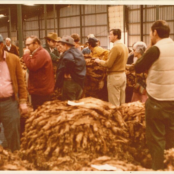 Co-Op Tabacco Sale - 1980's - Submitted by Brenda Bryan